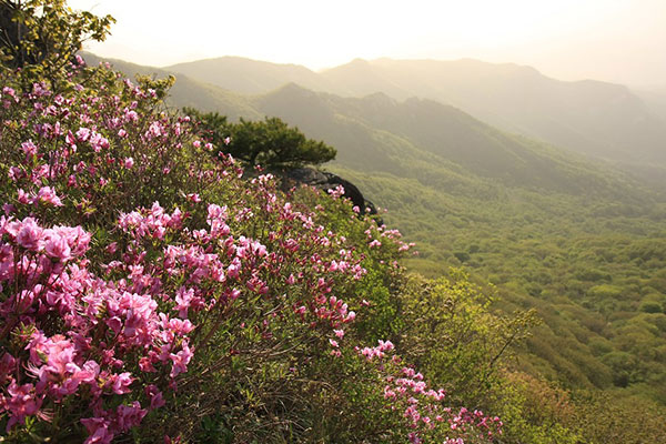 峨眉山